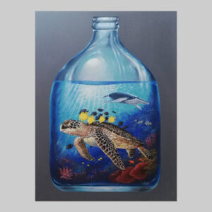 รูปวาด_เต่า