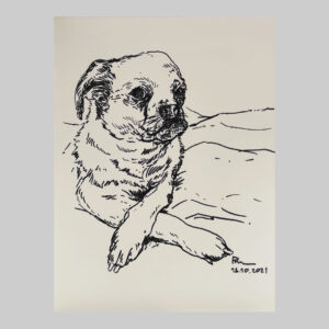 ภาพวาดน้องหมา