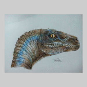 ภาพวาดไดโนเสาร์_3