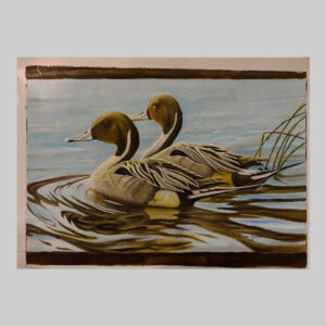 ภาพเป็ด