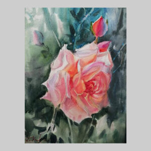 รูปดอกกุหลาบ