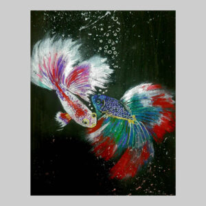 ภาพปลากัด