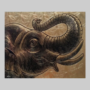 ภาพช้าง_4