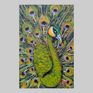 ภาพวาด_นกยูง