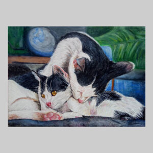 ภาพวาด_น้องแมว