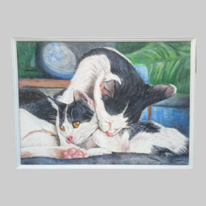 ภาพวาด_น้องแมวพร้อมกรอบ