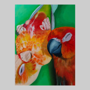 ภาพวาดนกแก้ว