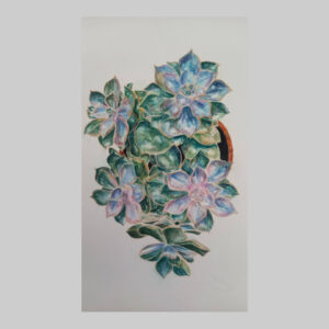 รูปวาด_ดอกไม้