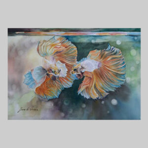 รูปวาด_ปลากัด