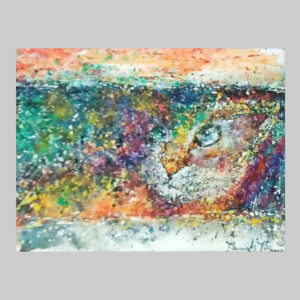 รูปแมวabstract