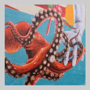 ภาพวาดปลาหมึก