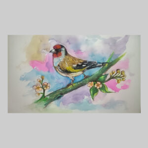 ภาพวาดนก