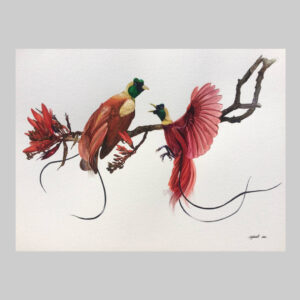 ภาพวาดนกการเวก