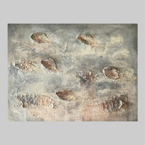 ภาพวาดFossil