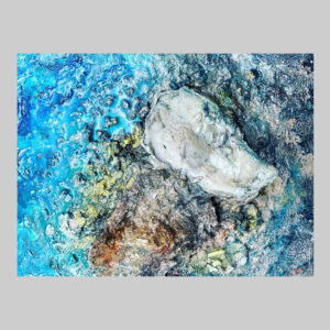 ภาพวาดหอยนางรม_2