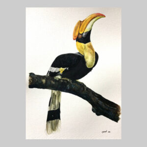 รูปวาด นกเงือก