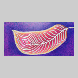 ภาพวาดขนนก