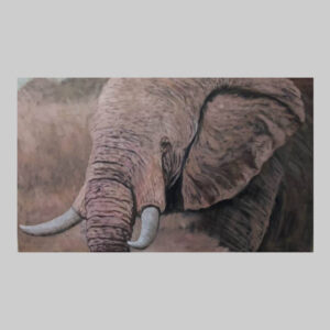 ภาพวาดช้าง