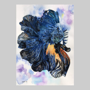 ภาพวาดปลากัด