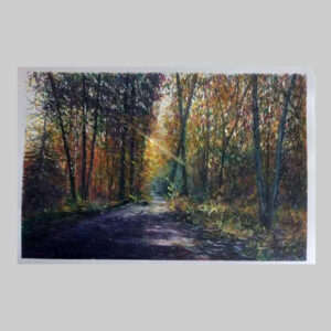 รูปธรรมชาติ_4