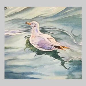 ภาพวาด นางนวลบางปู