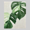 ภาพวาด ใบไม้
