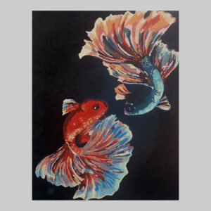 ภาพ ปลากัด