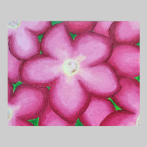 ภาพวาด ดอกไม้