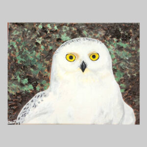 ภาพวาดนกฮูก