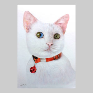 ภาพวาด น้องแมว