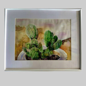 ภาพกระบองเพชร