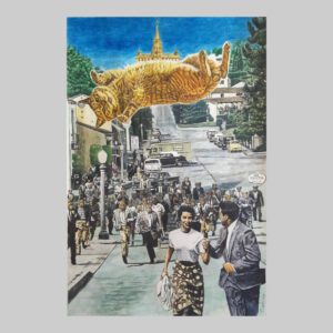 ภาพวาด น้องแมว