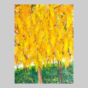 รูปวาด ดอกคูณ