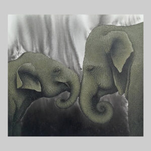 ภาพวาด ช้าง