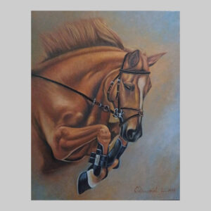 ภาพวาด ม้ากระโดด