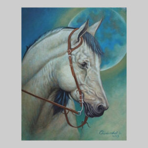 ภาพวาด ม้าสีขาว