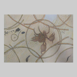 ภาพวาด แมงป่อง