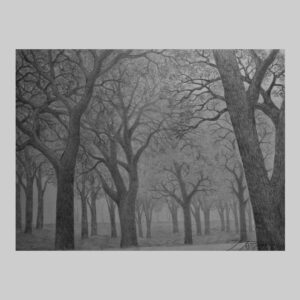 รูปวาด ต้นไม้4