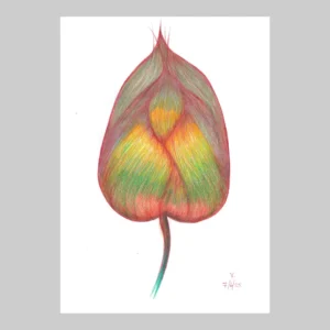ภาพวาด ใบไม้สีส้ม