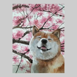 ภาพวาด ชิบะ