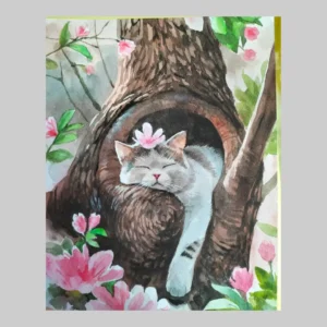 ภาพวาด แมวนอน